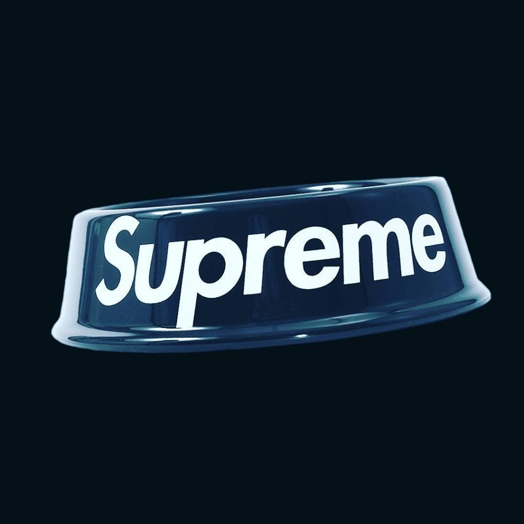 supreme dog bowl