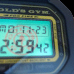 goldsgym gshock